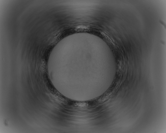 X0000091910659200710031020