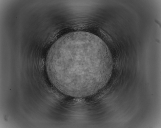 X0000091910660200710031020