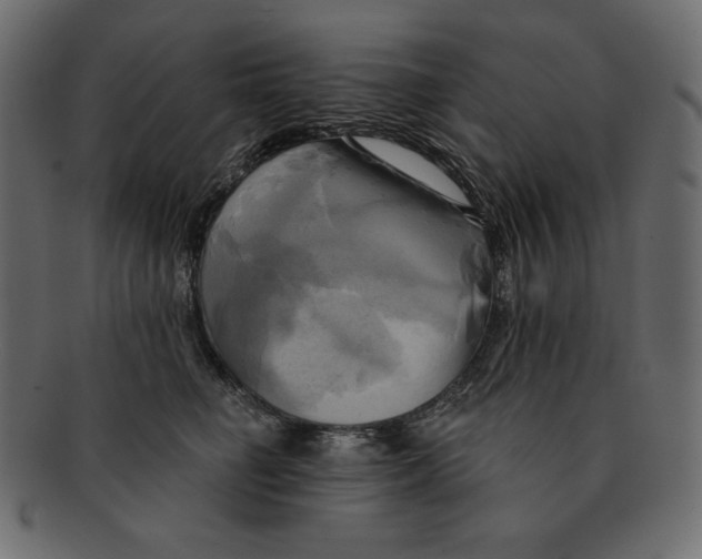 X0000091910662200710031020