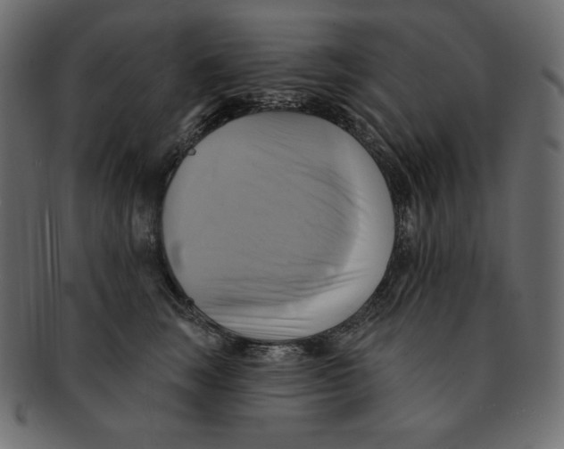 X0000091910663200710031020