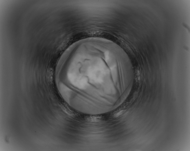 X0000091910664200710031020