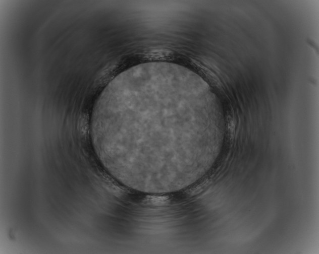 X0000091910665200710031020