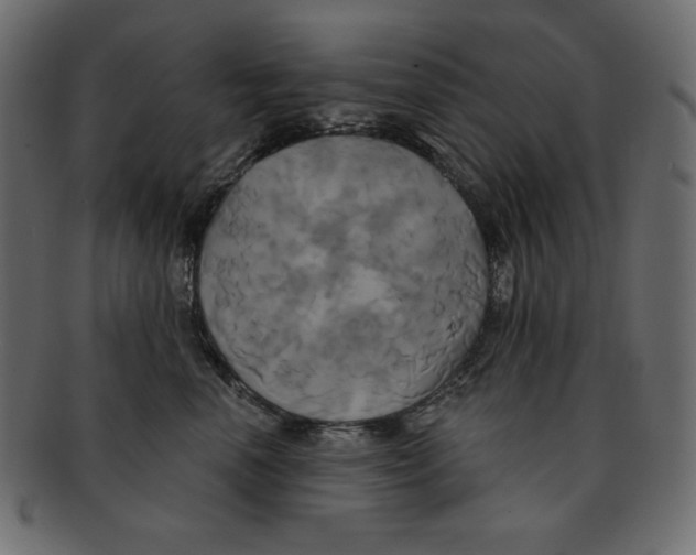 X0000091910666200710031020