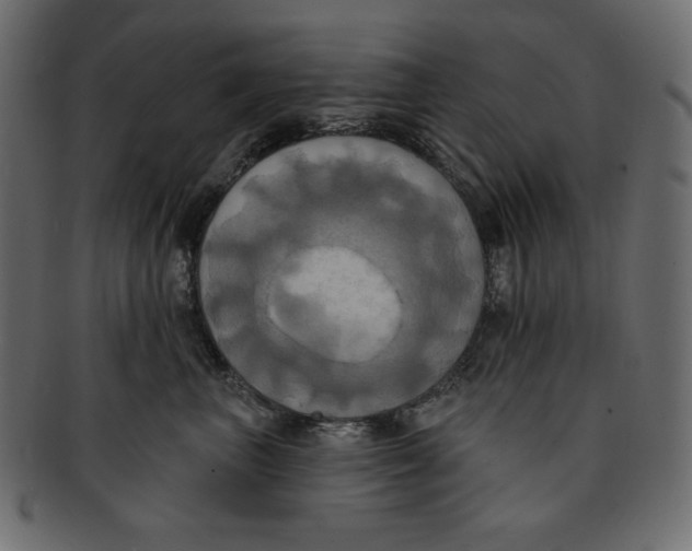 X0000091910667200710031020