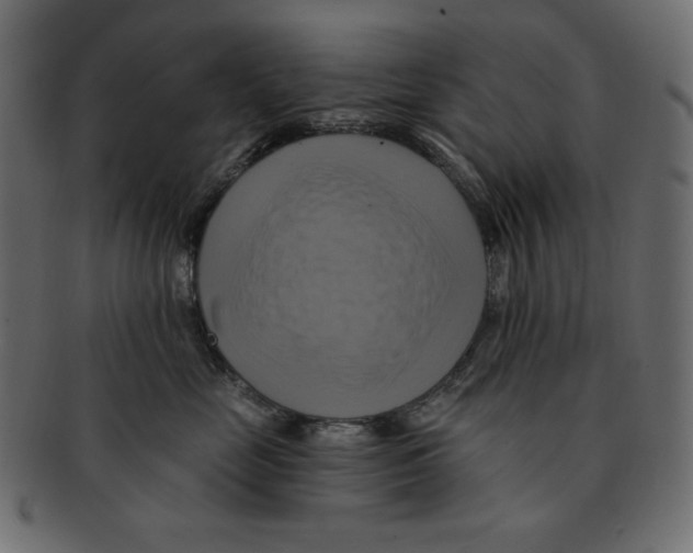 X0000091910669200710031020