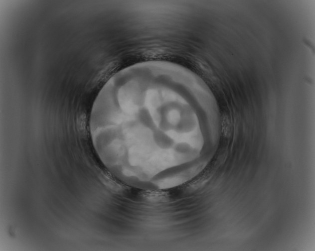 X0000091910670200710031020