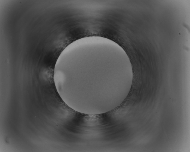 X0000091910672200710031020