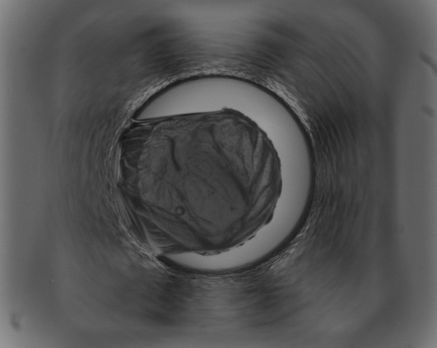 X0000091910673200710031019