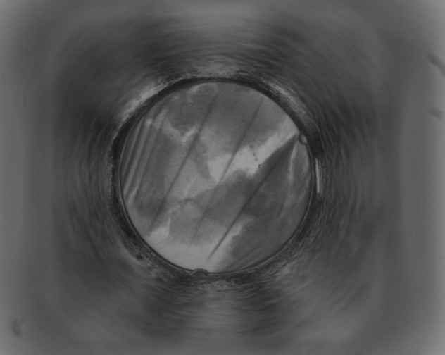 X0000091910675200710031019