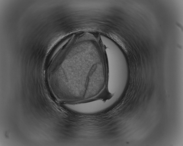 X0000091910676200710031019