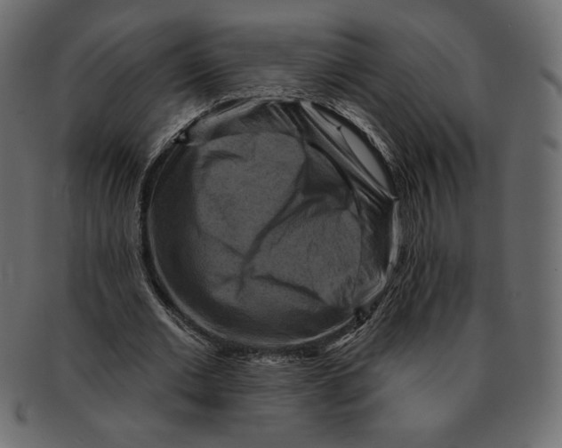 X0000091910677200710031019