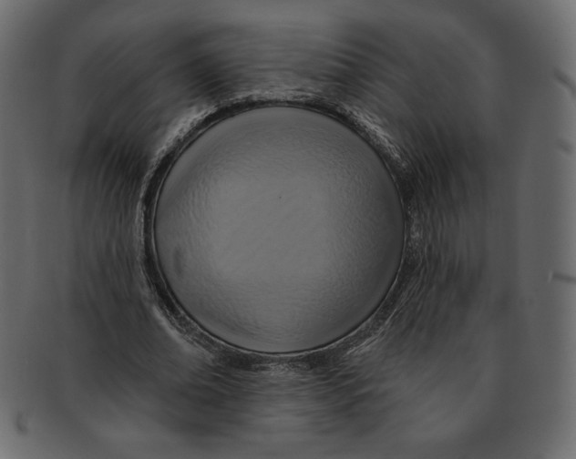 X0000091910678200710031019