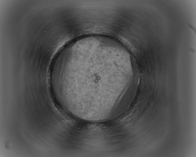 X0000091910680200710031019