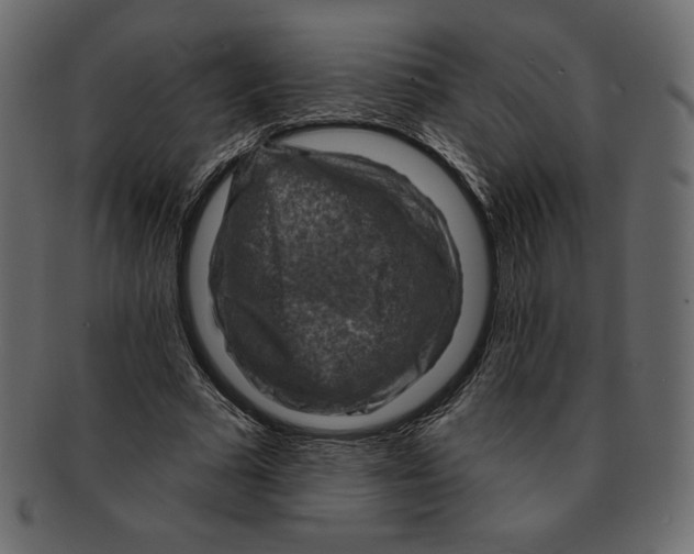 X0000091910681200710031019