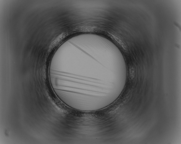 X0000091910682200710031019