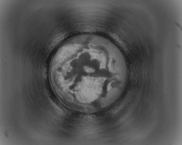 X0000091910683200710031019