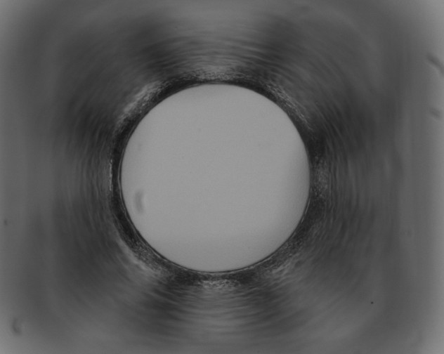 X0000091910686200710031019