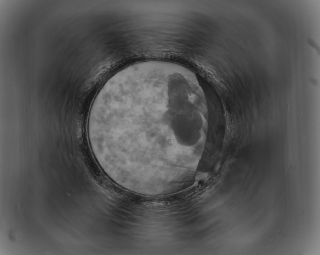 X0000091910687200710031019