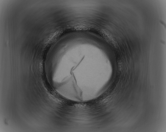 X0000091910690200710031019