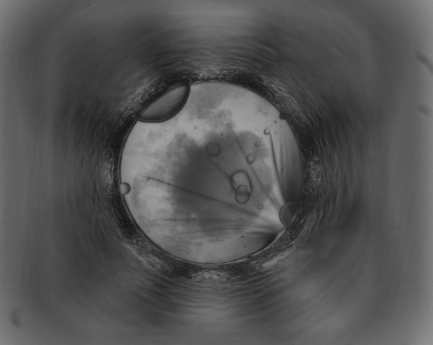 X0000091910691200710031019