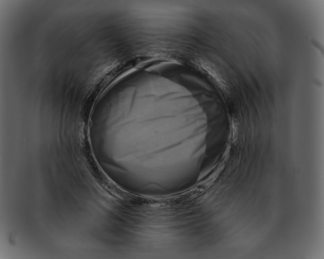 X0000091910692200710031019