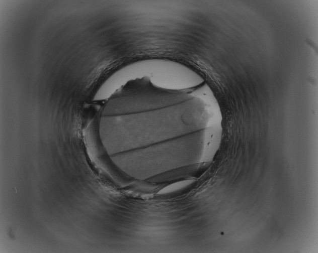 X0000091910693200710031019