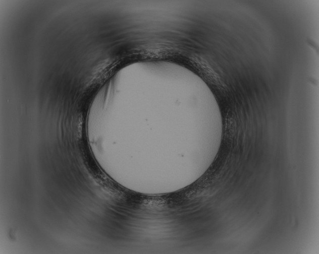 X0000091910694200710031019