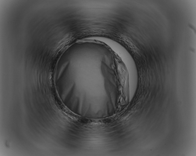 X0000091910696200710031019