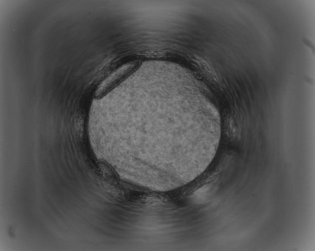 X0000091910697200710031019