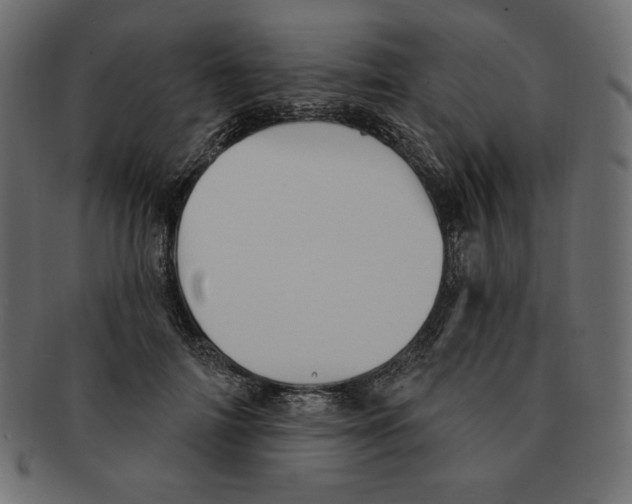 X0000091910698200710031019