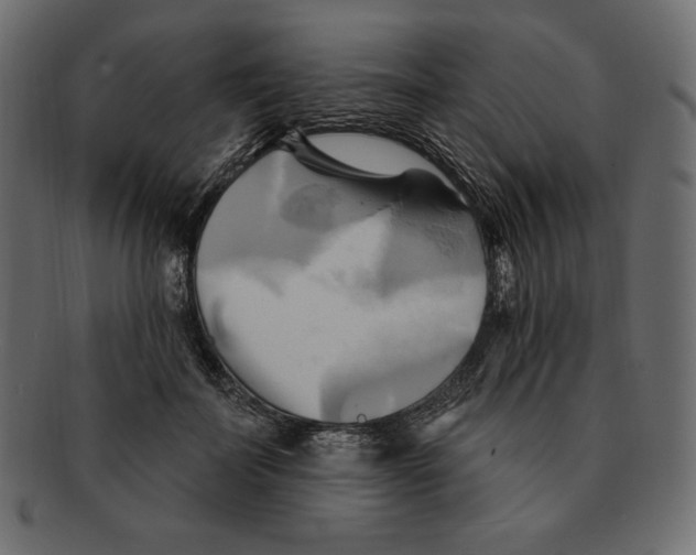 X0000091910699200710031019