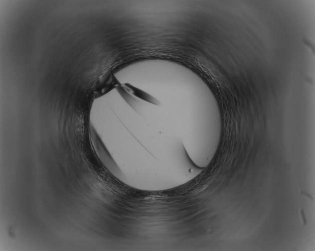 X0000091910700200710031019