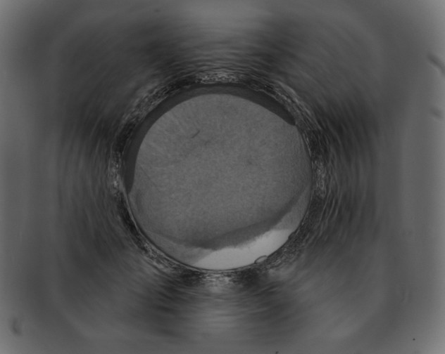 X0000091910701200710031019