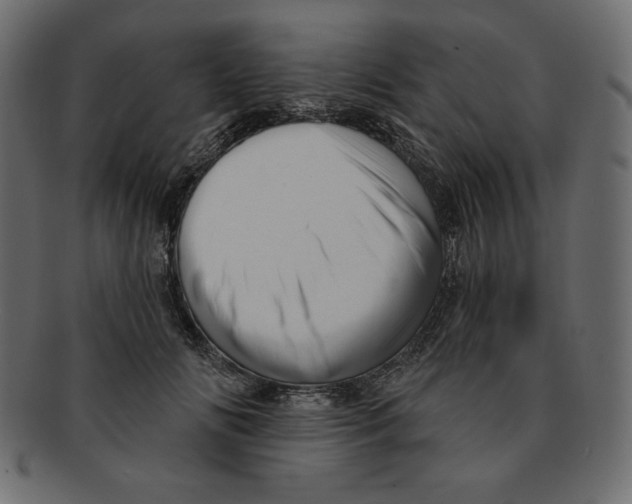 X0000091910702200710031019