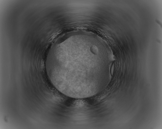 X0000091910704200710031019