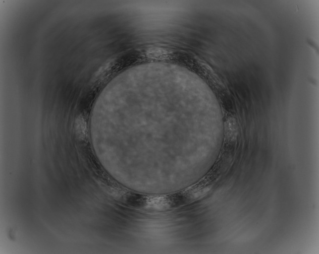 X0000091910705200710031019