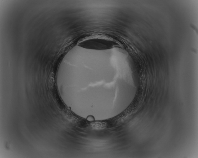 X0000091910707200710031019