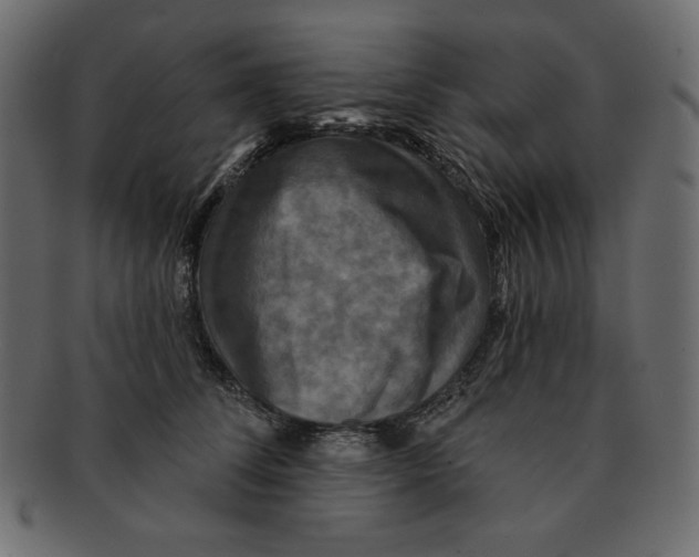 X0000091910708200710031019