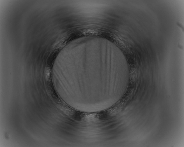 X0000091910709200710031019