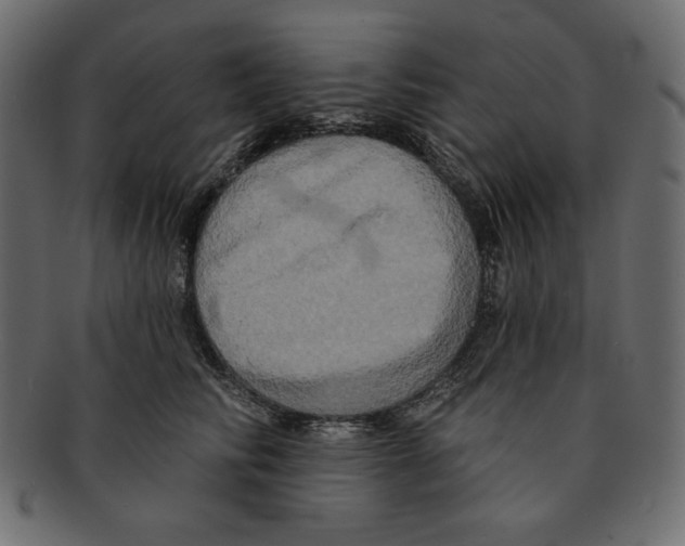 X0000091910710200710031019