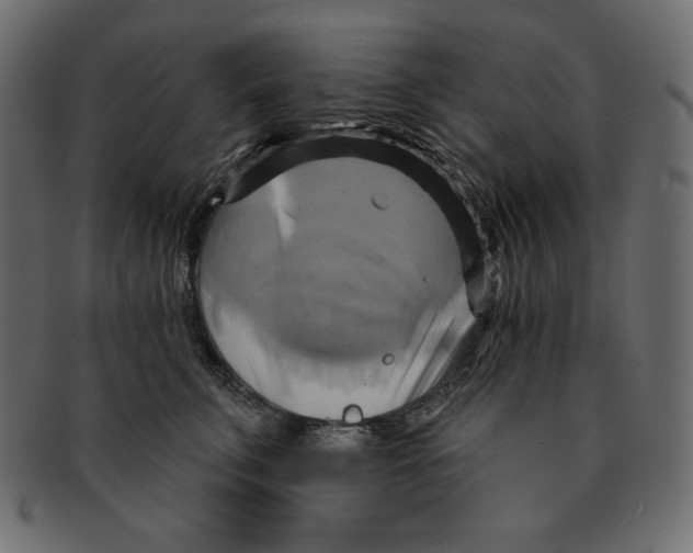 X0000091910711200710031019