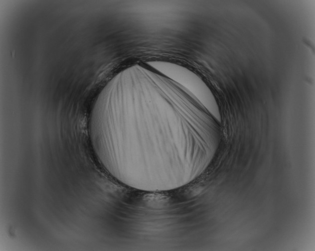 X0000091910714200710031019