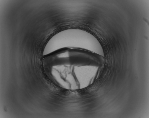 X0000091910715200710031019