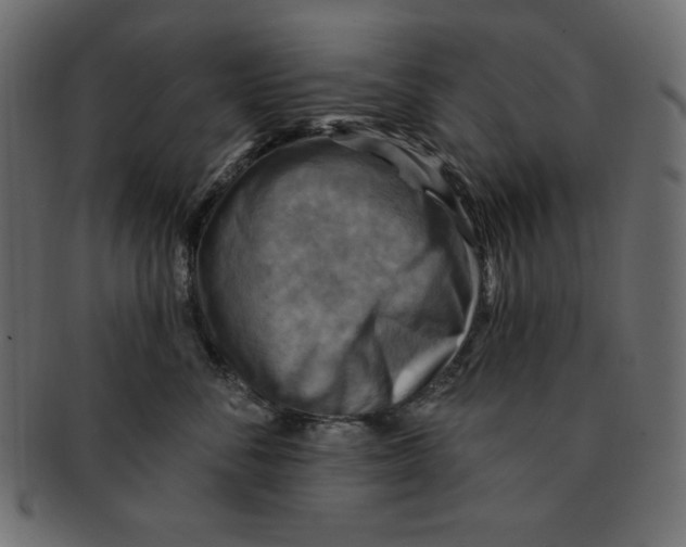 X0000091910716200710031019