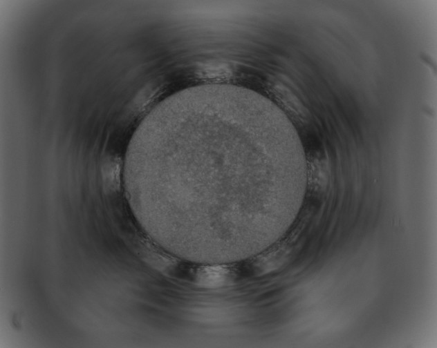 X0000091910717200710031019