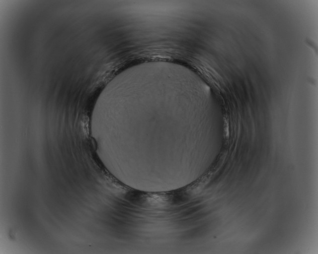 X0000091910718200710031019