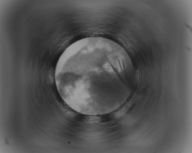 X0000091910719200710031019