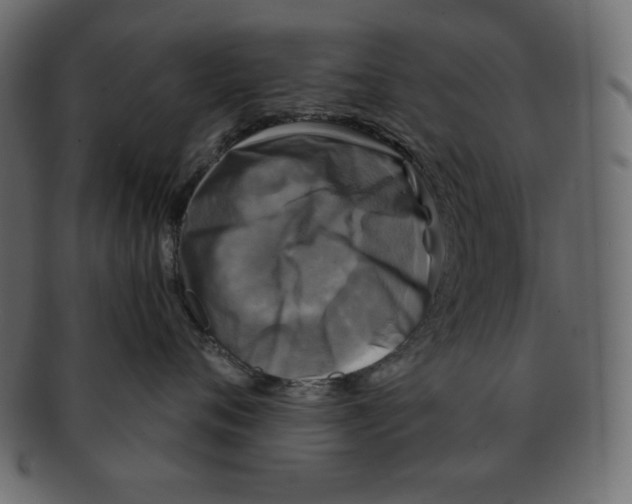 X0000091910720200710031019