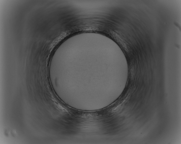 X0000091910721200710031018