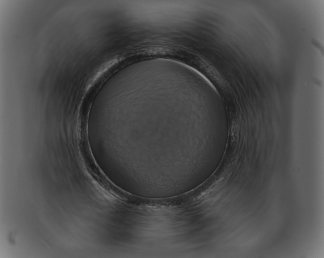 X0000091910722200710031018